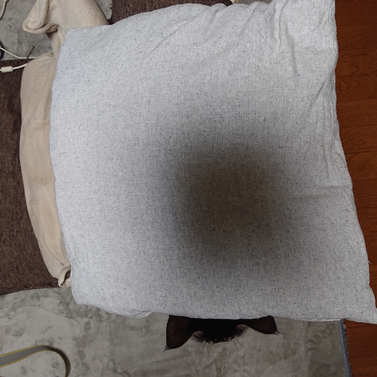 f:id:uoomee:20200506015119j:plain f:id:uoomee:20200506015119j:plain