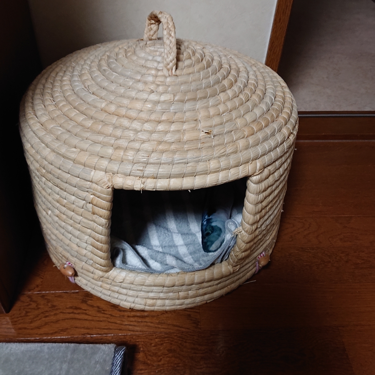 f:id:uoomee:20200507144510j:plain f:id:uoomee:20200507144510j:plain