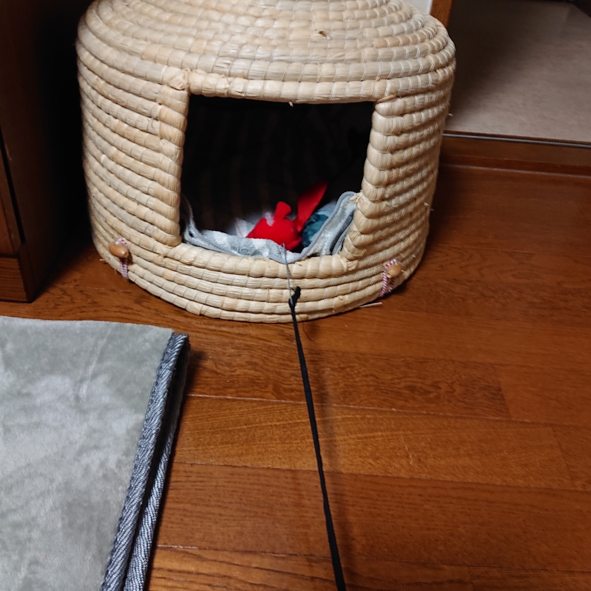 f:id:uoomee:20200507144856j:plain f:id:uoomee:20200507144856j:plain