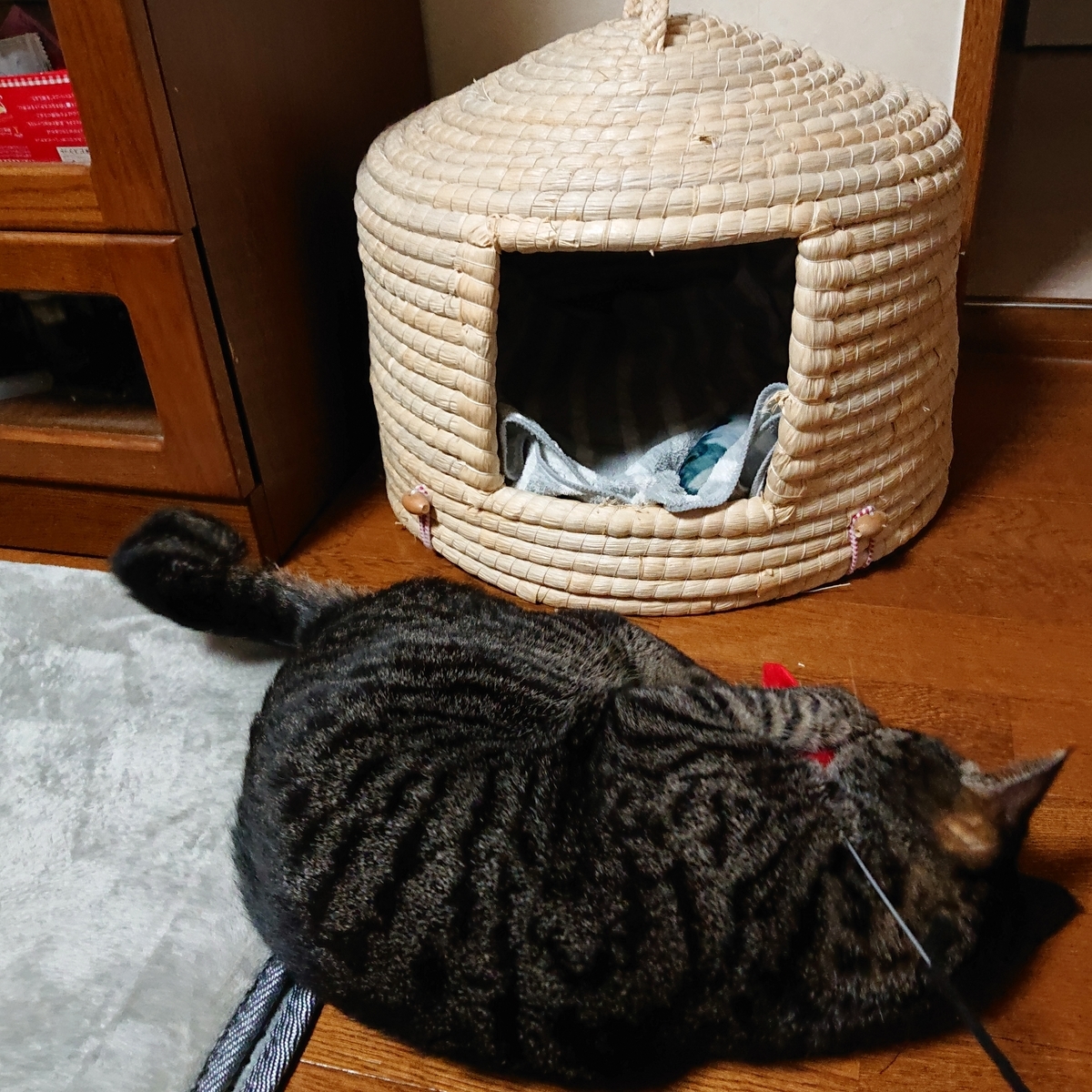 f:id:uoomee:20200507145749j:plain f:id:uoomee:20200507145749j:plain