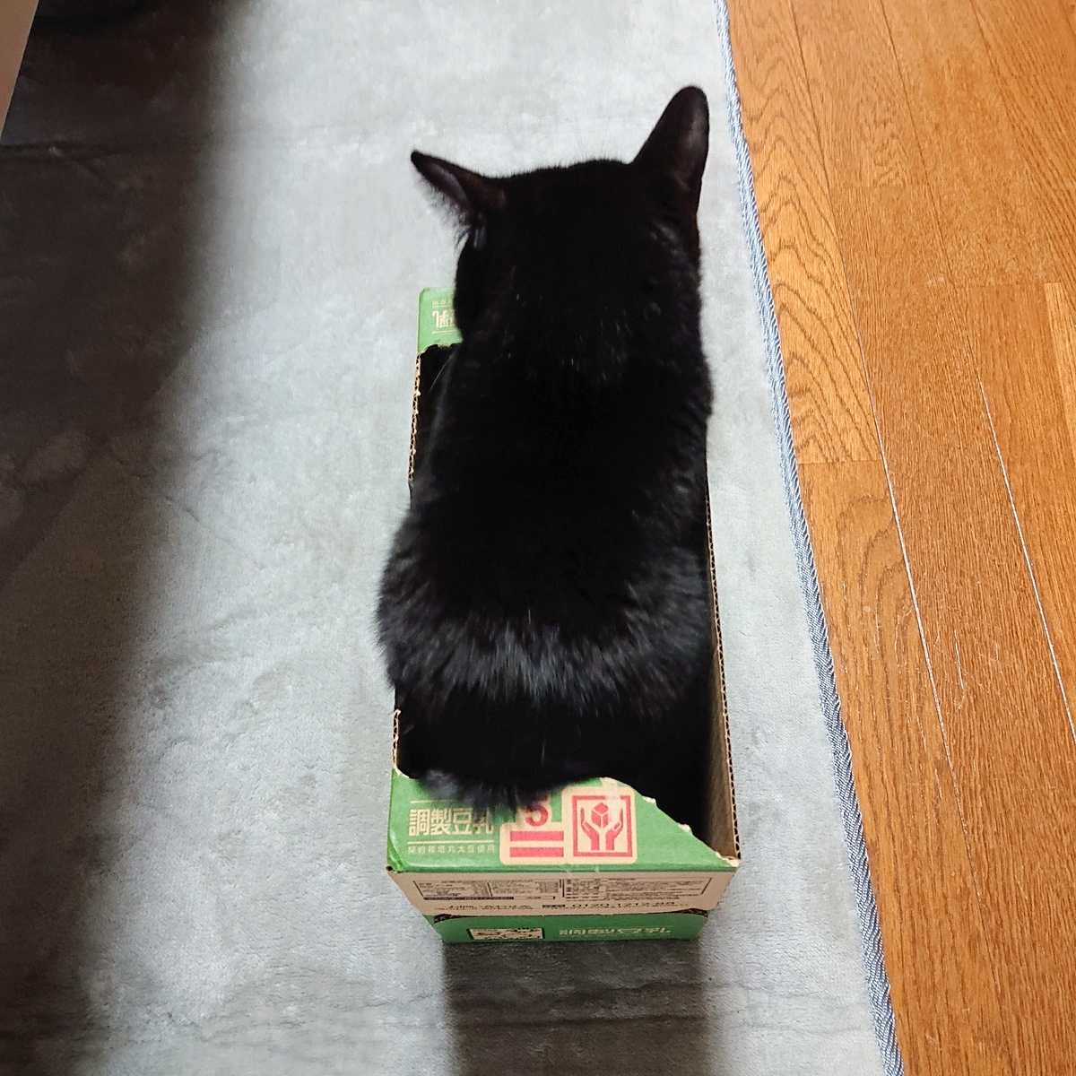 f:id:uoomee:20200507150214j:plain f:id:uoomee:20200507150214j:plain