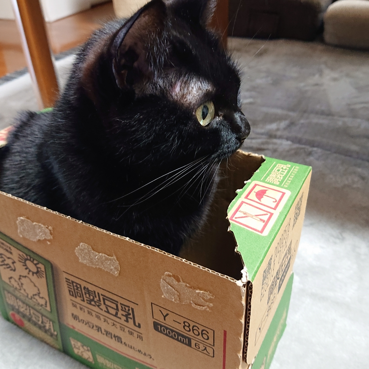 f:id:uoomee:20200507150405j:plain f:id:uoomee:20200507150405j:plain