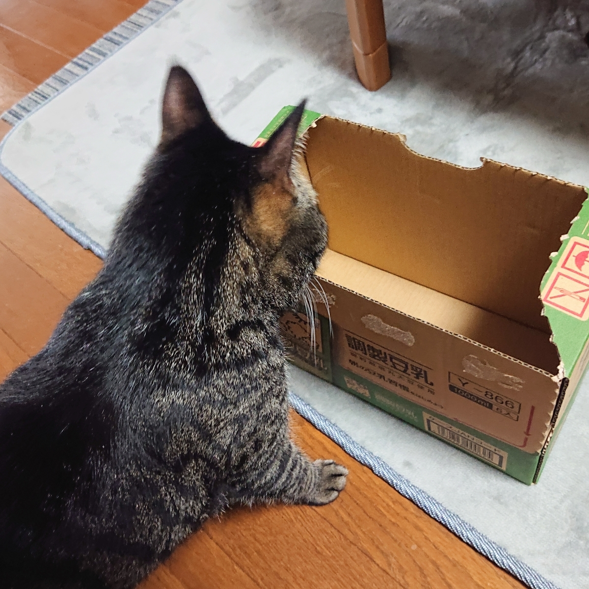 f:id:uoomee:20200507150706j:plain f:id:uoomee:20200507150706j:plain