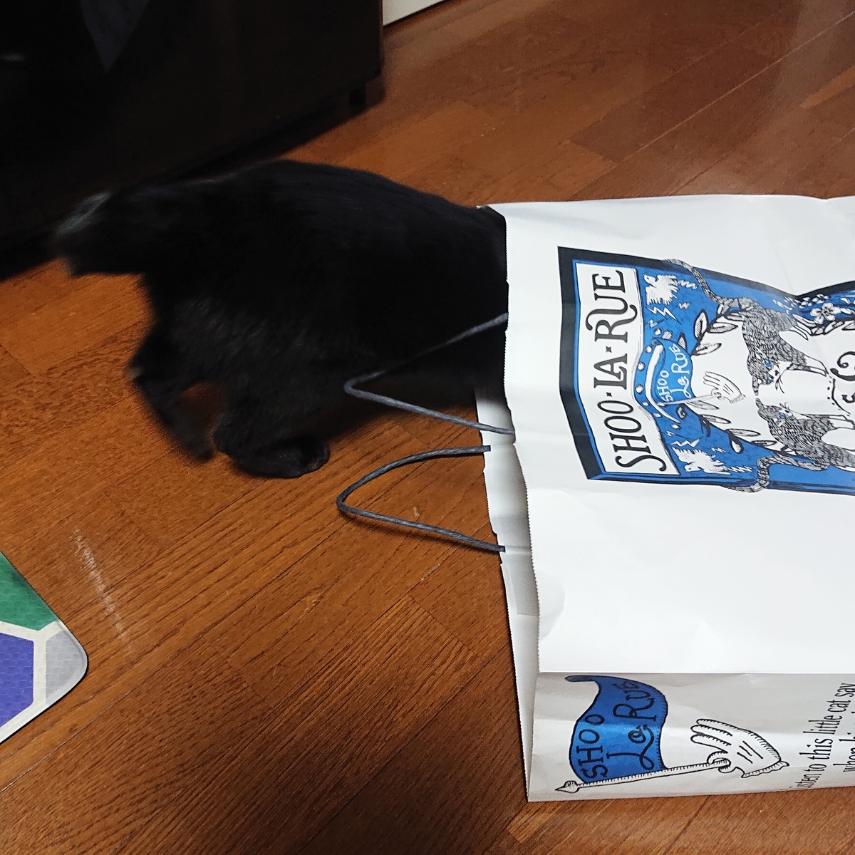 f:id:uoomee:20200514131609j:plain f:id:uoomee:20200514131609j:plain