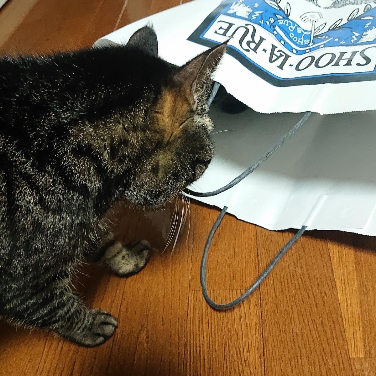 f:id:uoomee:20200514131716j:plain f:id:uoomee:20200514131716j:plain