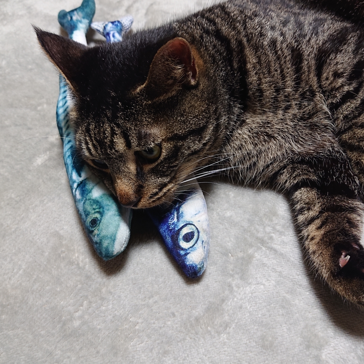 f:id:uoomee:20200514133951j:plain f:id:uoomee:20200514133951j:plain