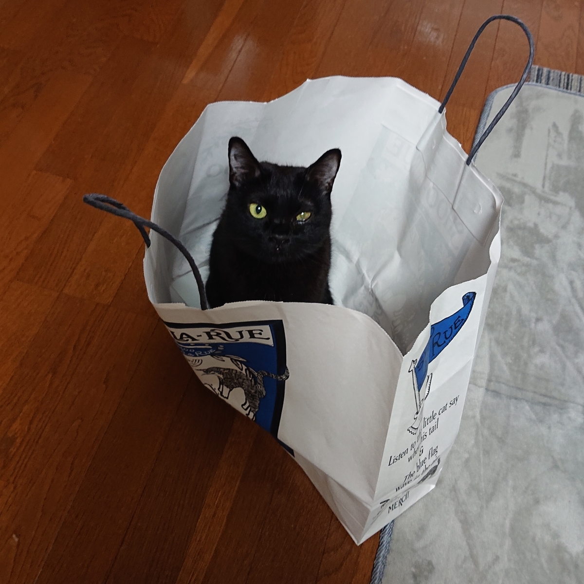 f:id:uoomee:20200514134156j:plain f:id:uoomee:20200514134156j:plain