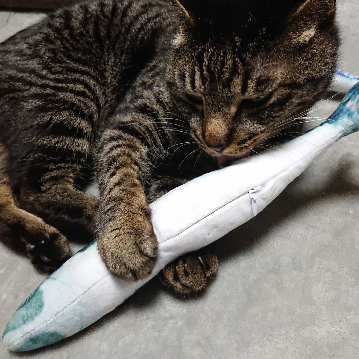 f:id:uoomee:20200514135304j:plain f:id:uoomee:20200514135304j:plain