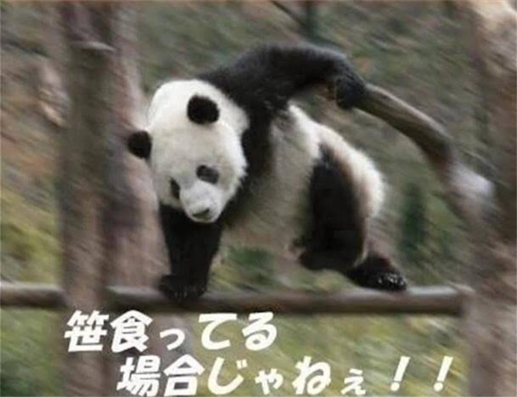 f:id:uosando:20200323224254j:image