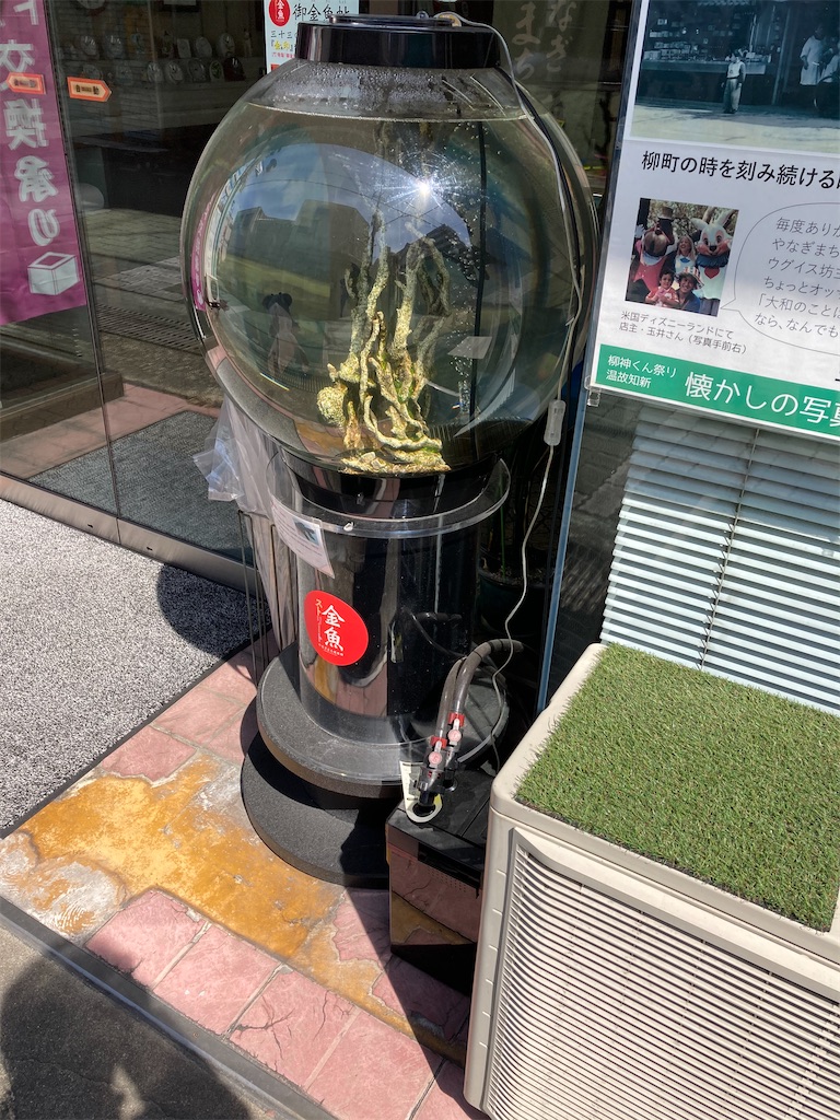 f:id:uosando:20210327222125j:image