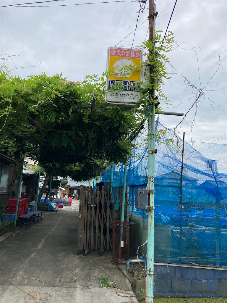 f:id:uosando:20210627191437j:image f:id:uosando:20210627191437j:image