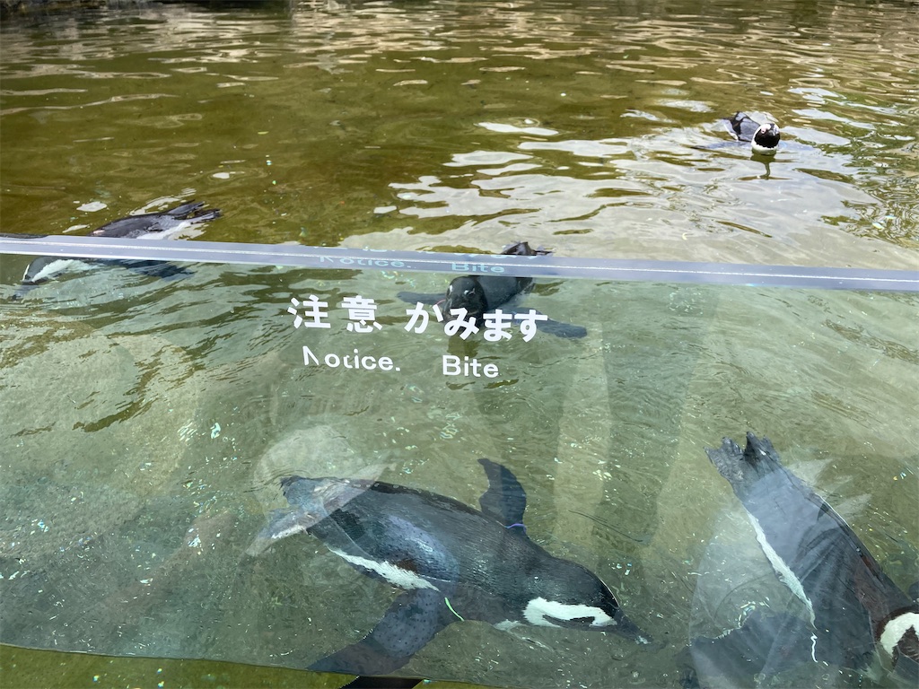 f:id:uosando:20210920080556j:image