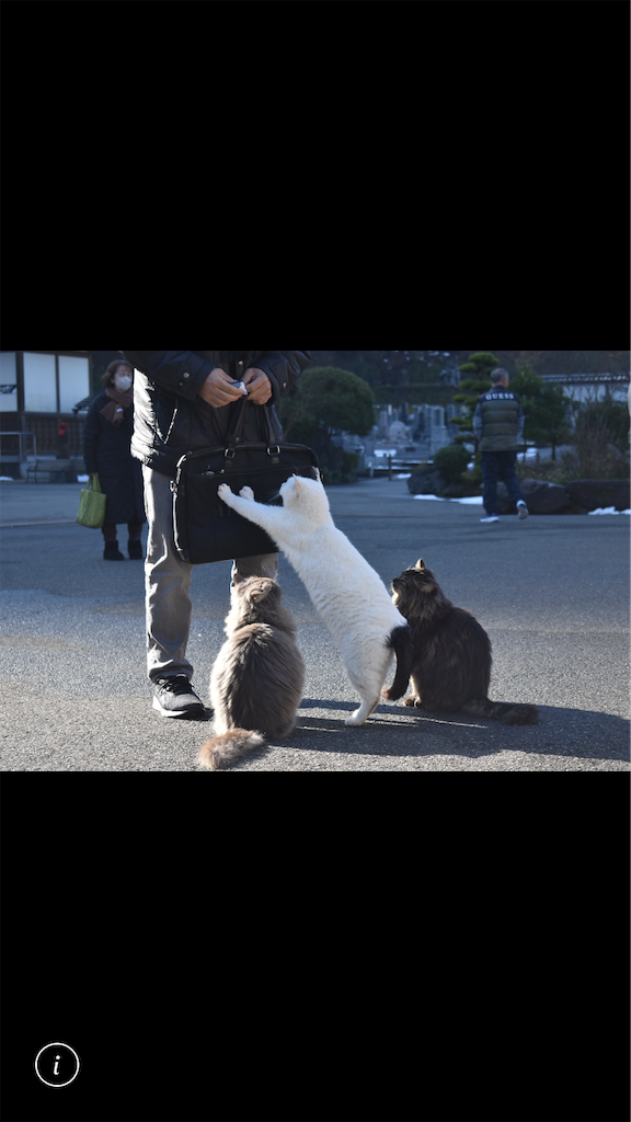f:id:uosando:20240106122310p:image
