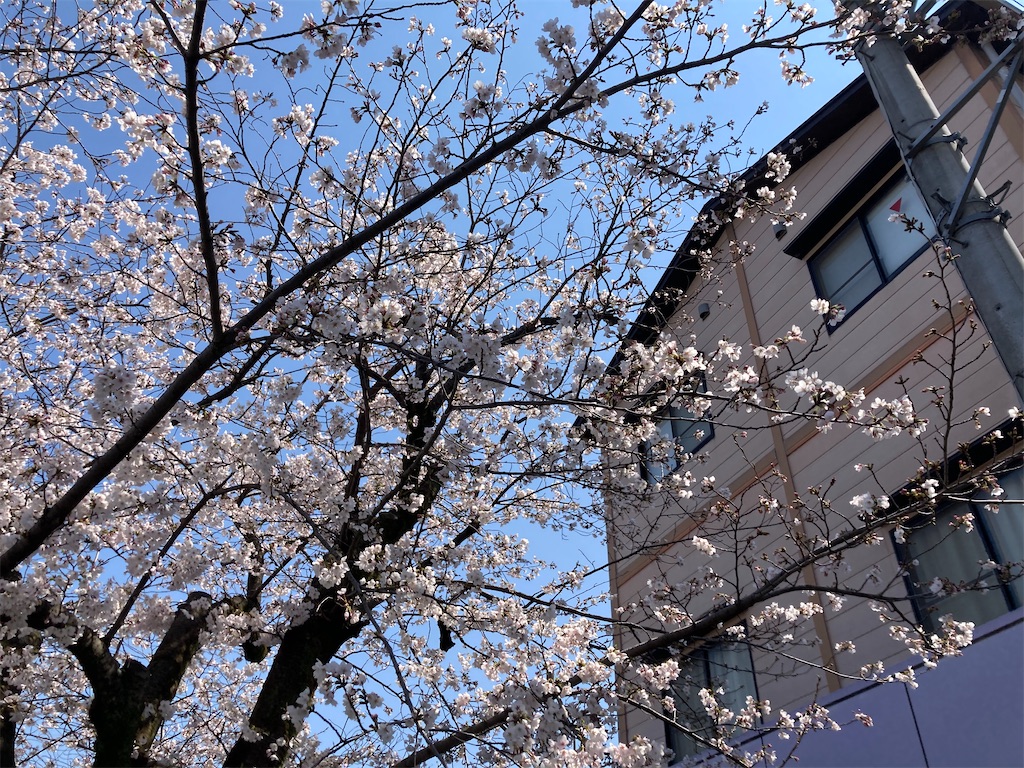 f:id:uosando:20250406141226j:image