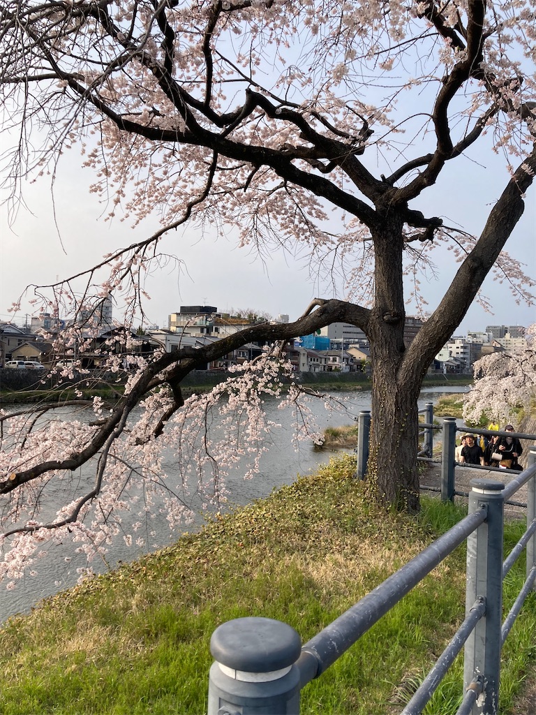 f:id:uosando:20260328200502j:image