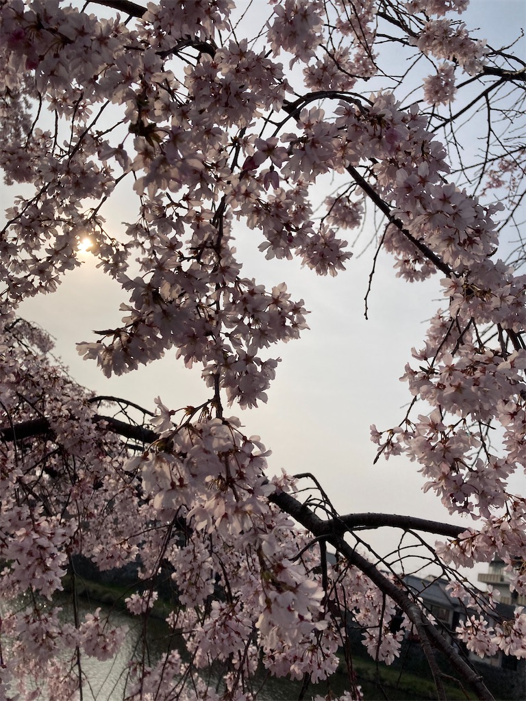 f:id:uosando:20260328200705j:image