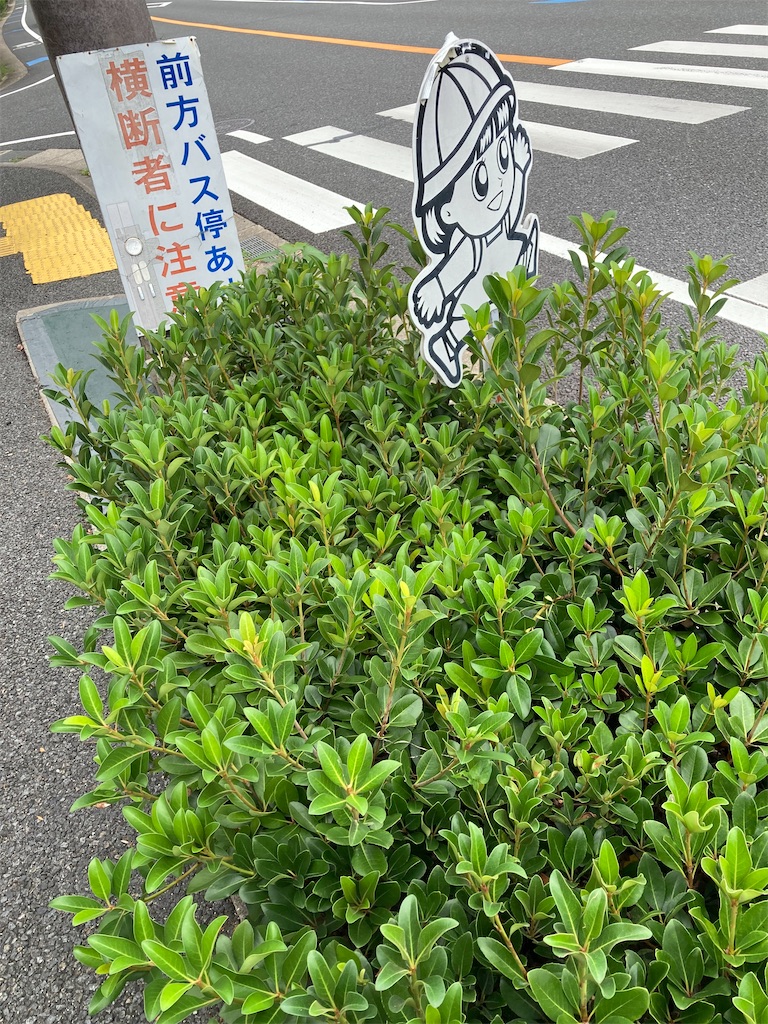 f:id:uosando:20260906182435j:image f:id:uosando:20260906182435j:image