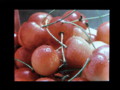 20100331164641