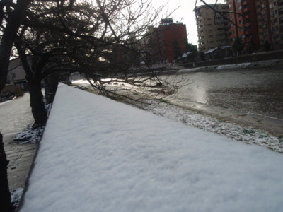 f:id:uotsune:20090111084910j:image