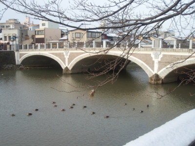 f:id:uotsune:20090111085009j:image