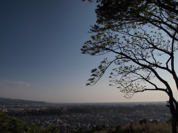 f:id:uotsune:20120514010645j:image