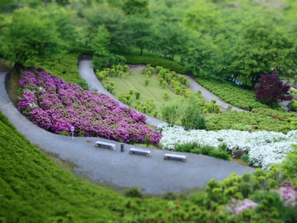 f:id:uotsune:20120514010646j:image