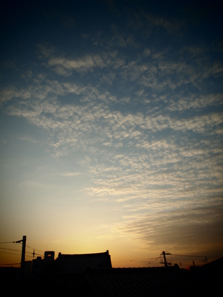 f:id:uotsune:20120514010647j:image