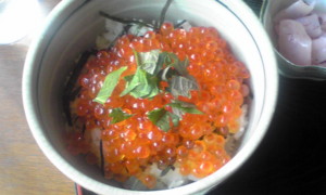 f:id:uotti:20081221132056j:image