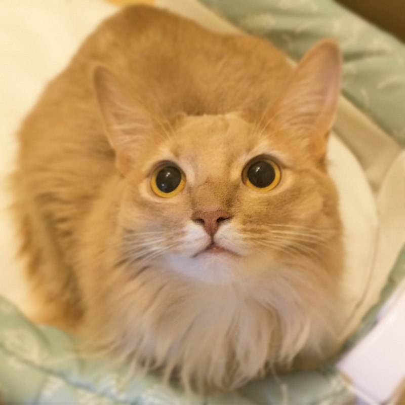 f:id:up2me:20161207231624j:plain f:id:up2me:20161207231624j:plain