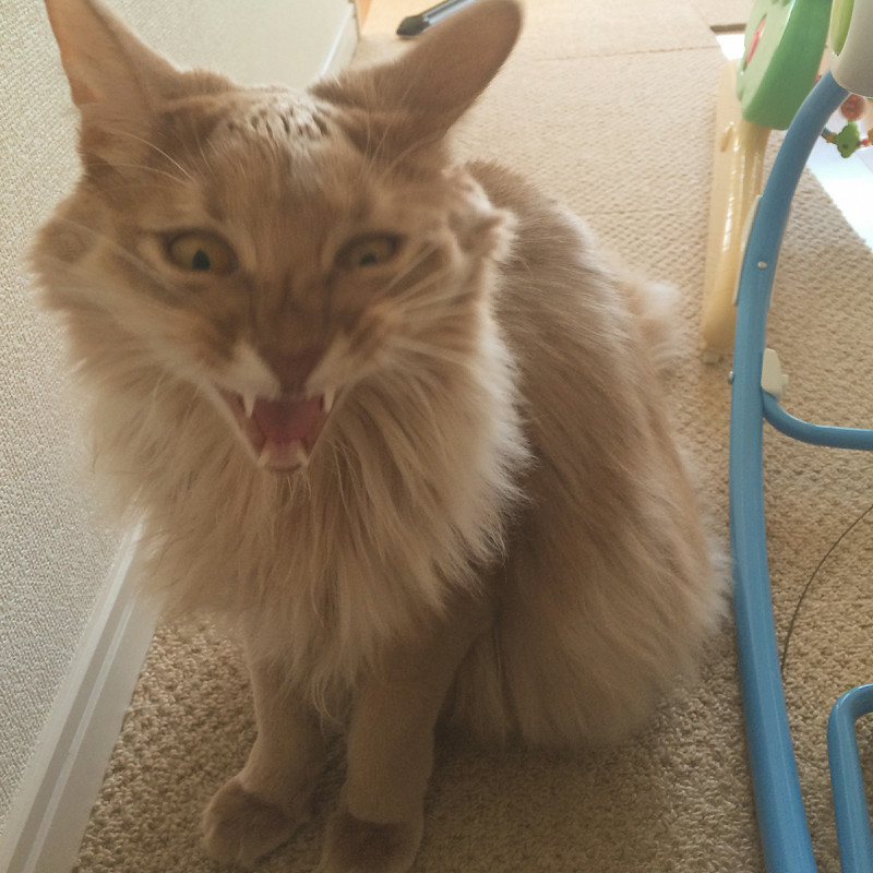 f:id:up2me:20161207231652j:plain f:id:up2me:20161207231652j:plain