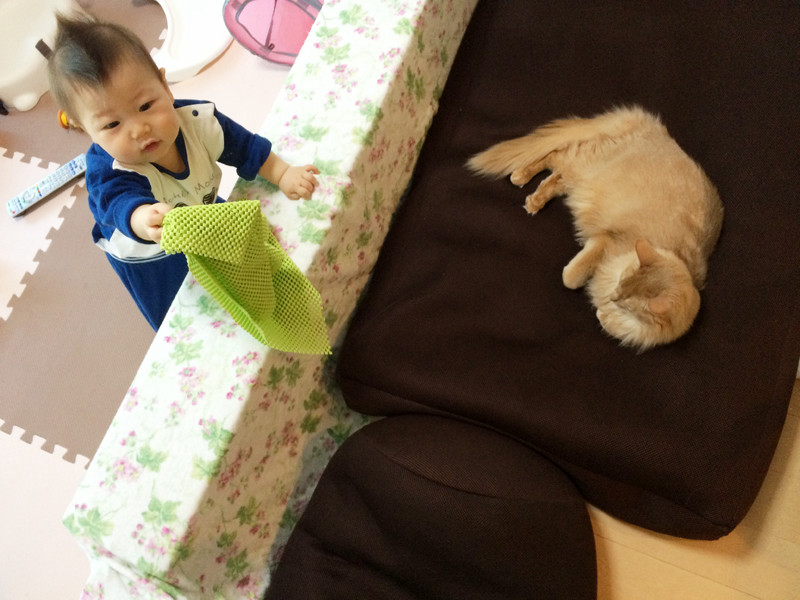 f:id:up2me:20170707155802j:plain