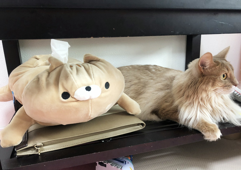 f:id:up2me:20181012160620j:plain