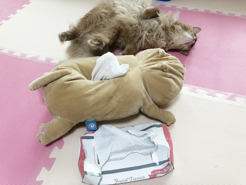 f:id:up2me:20181012160746j:plain