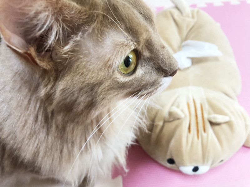 f:id:up2me:20181012160757j:plain