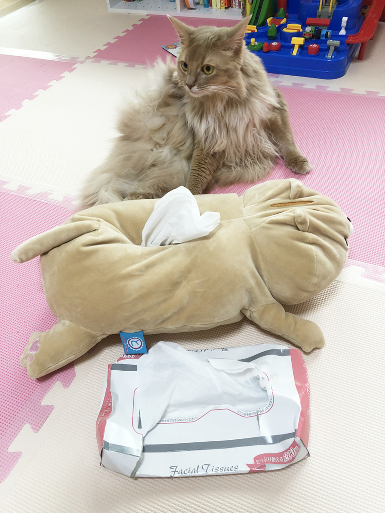 f:id:up2me:20181012162012j:plain