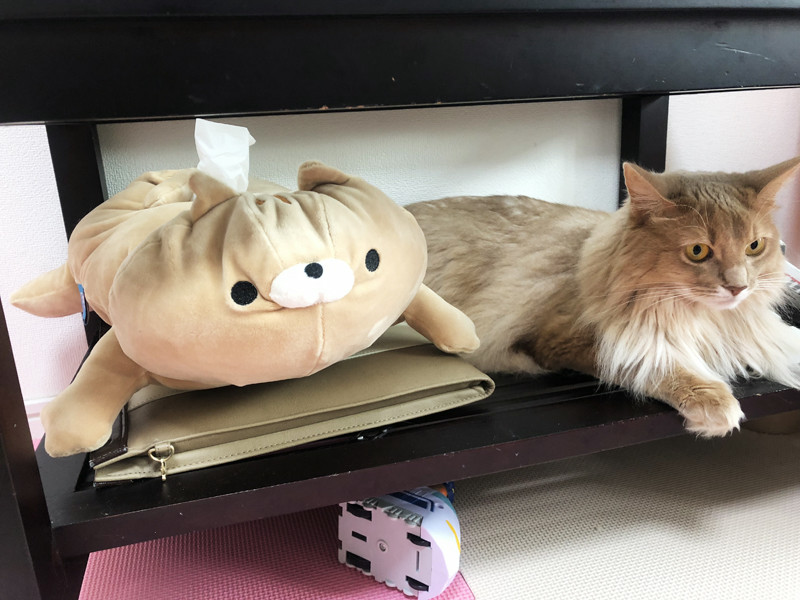 f:id:up2me:20181012163657j:plain