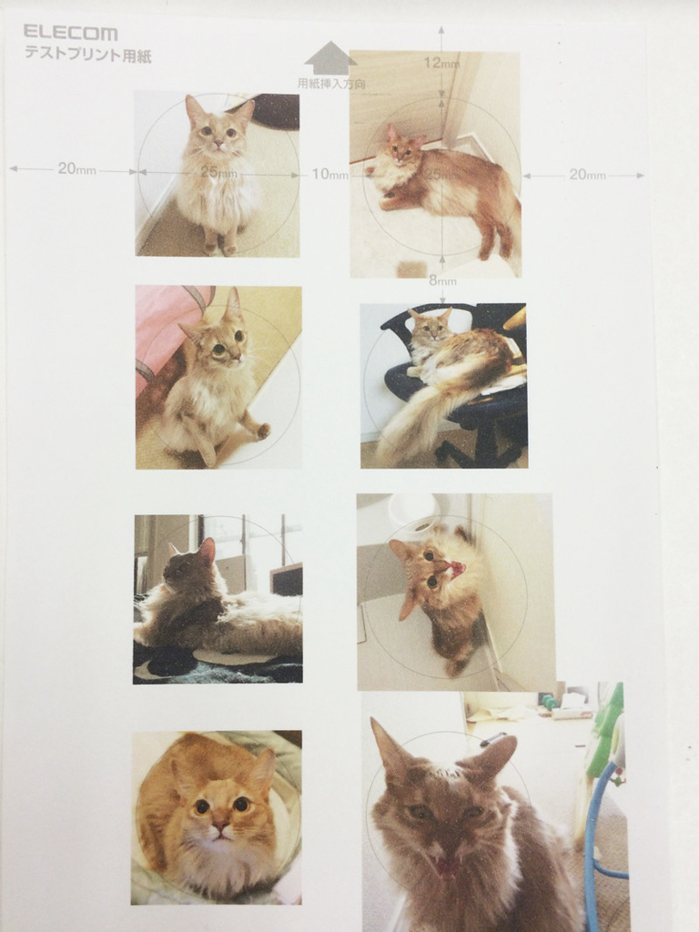 f:id:up2me:20181026153648j:plain