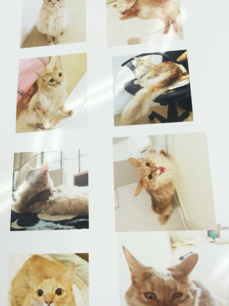 f:id:up2me:20181026154129j:plain