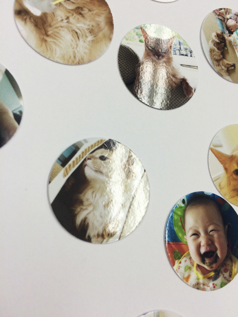 f:id:up2me:20181026155928j:plain