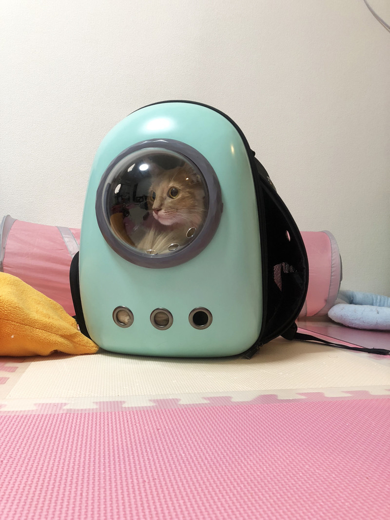 f:id:up2me:20181129173856j:plain