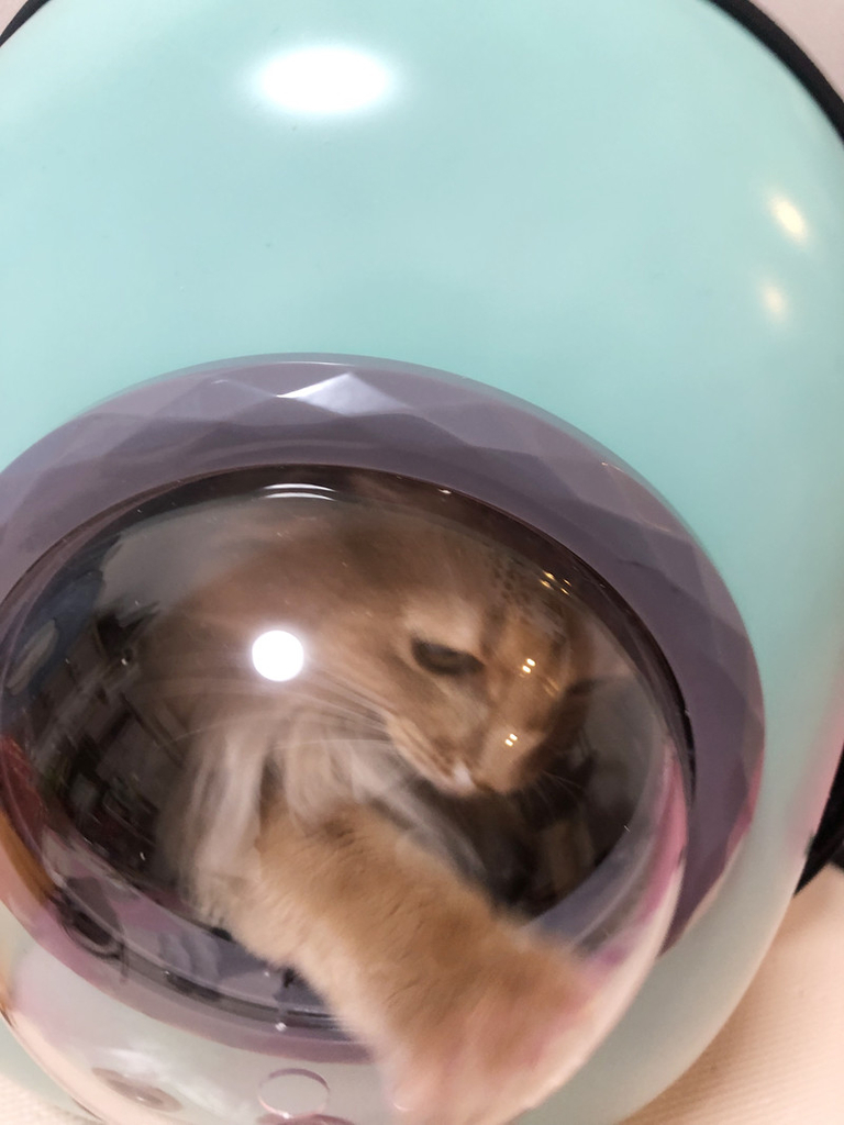 f:id:up2me:20181129173927j:plain