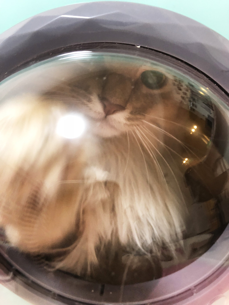 f:id:up2me:20181129173948j:plain