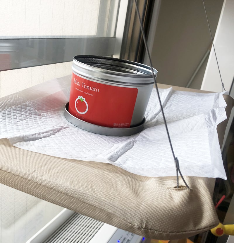 f:id:up2me:20190911110214j:plain