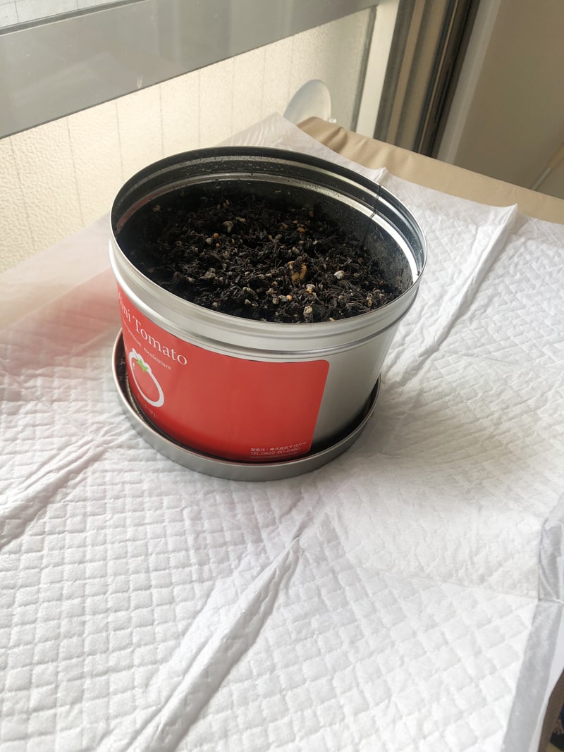 f:id:up2me:20190925104217j:plain