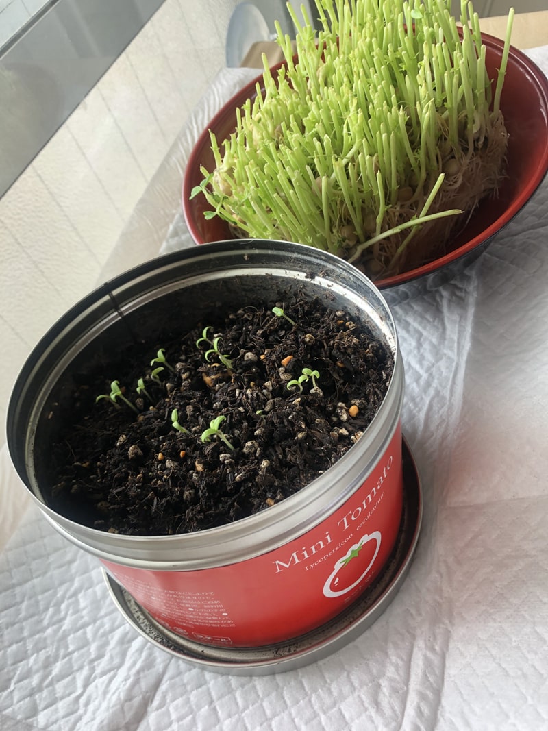 f:id:up2me:20190925104759j:plain