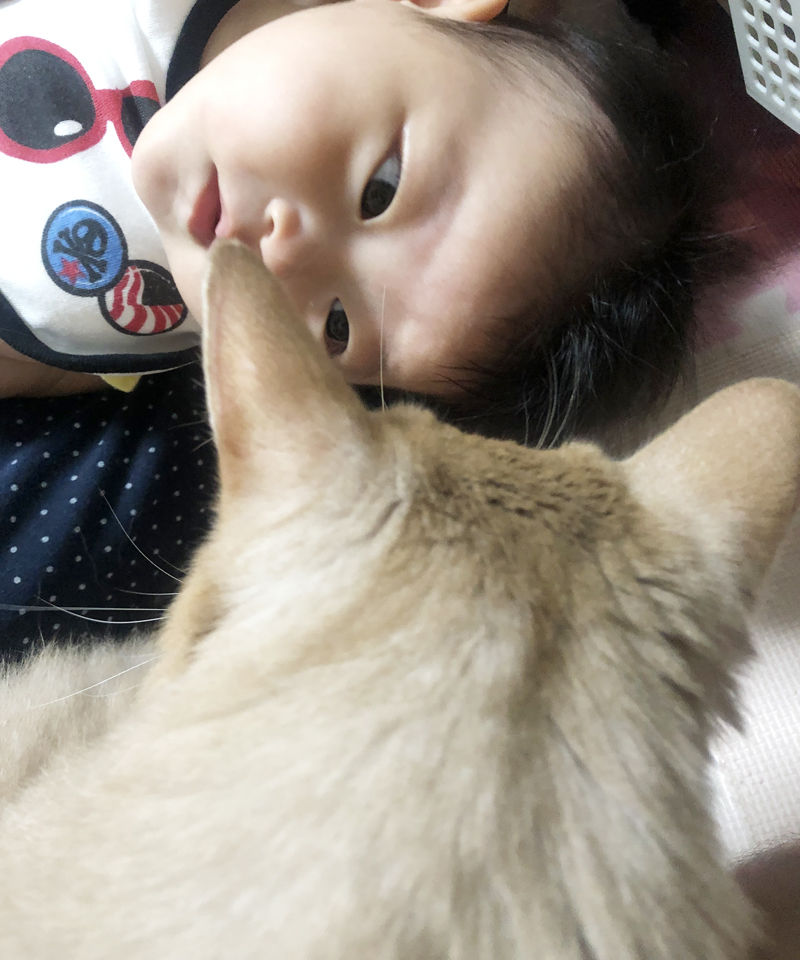 f:id:up2me:20191002125542j:plain