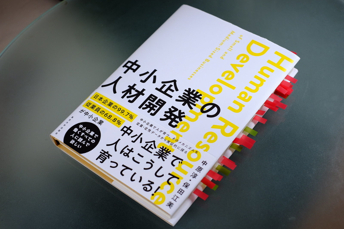 人材開発研究大全 中原淳著 初版 人材開発研究大全 | 中原 淳 |本