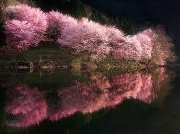 f:id:updewe857:20200611114801j:plain