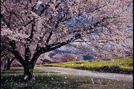 f:id:updewe857:20200611114842j:plain