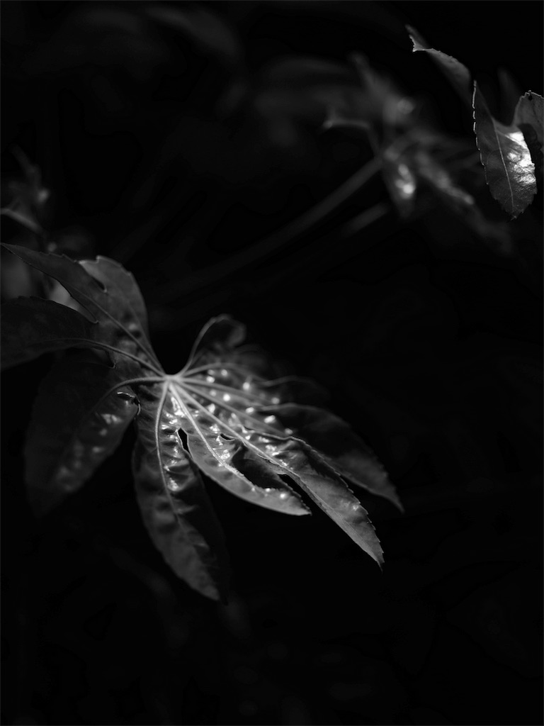 f:id:upim:20190527185613j:plain f:id:upim:20190527185613j:plain
